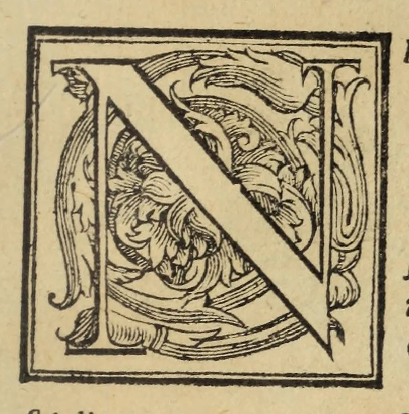 An illustration from La geografia di Claudio Tolomeo Alessandrino, 1574, leaf 653