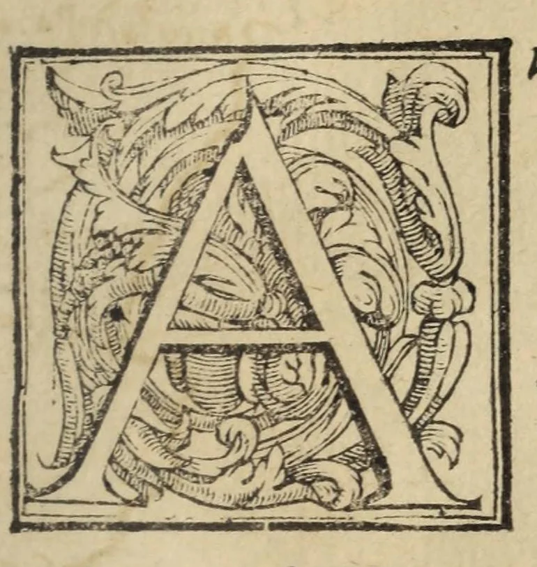 An illustration from La geografia di Claudio Tolomeo Alessandrino, 1574, leaf 693
