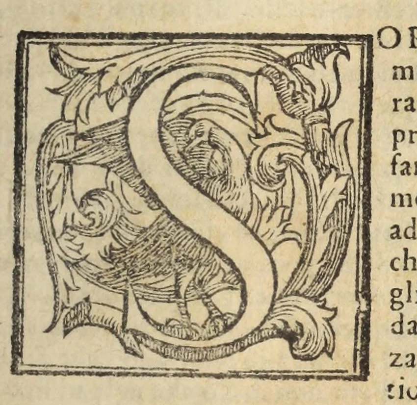 An illustration from La geografia di Claudio Tolomeo Alessandrino, 1574, leaf 703