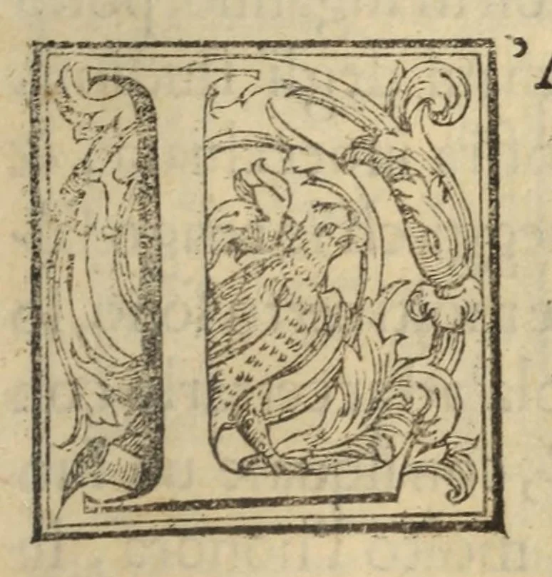 An illustration from La geografia di Claudio Tolomeo Alessandrino, 1574, leaf 759