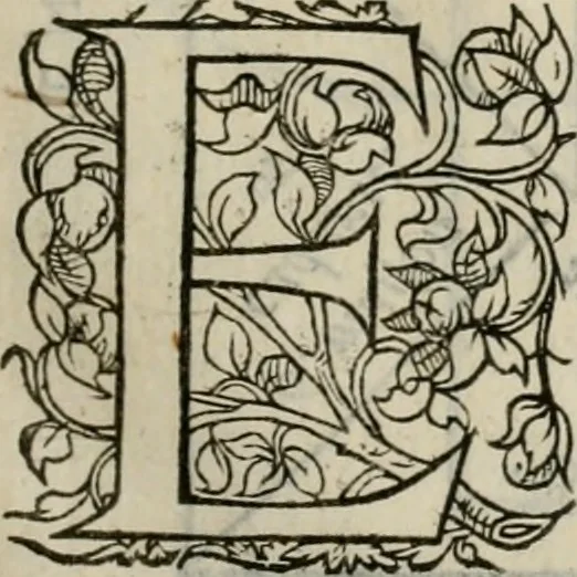 An illustration from La geomance dv Seigneur Christofe de Cattan, gentilhomme Geneuoys. Liure non moins plaisant & recreatif. Auec la roüe de Pythagoras, 1558, leaf 100