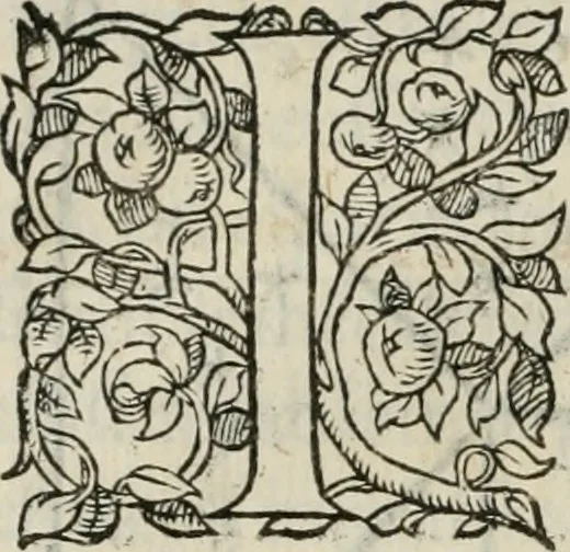 An illustration from La geomance dv Seigneur Christofe de Cattan, gentilhomme Geneuoys. Liure non moins plaisant & recreatif. Auec la roüe de Pythagoras, 1558, leaf 103