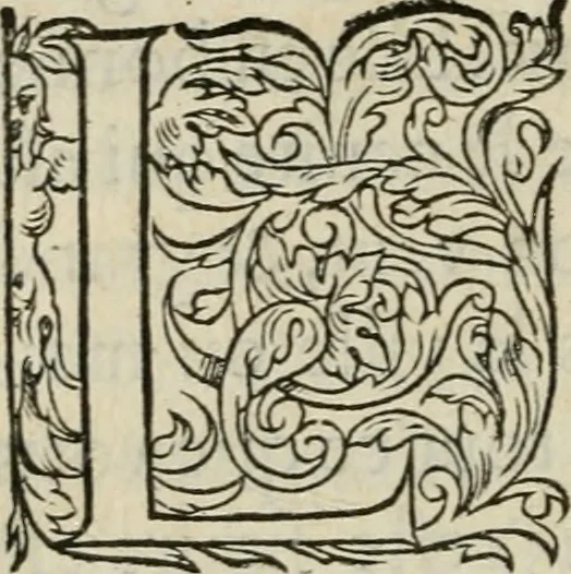 An illustration from La geomance dv Seigneur Christofe de Cattan, gentilhomme Geneuoys. Liure non moins plaisant & recreatif. Auec la roüe de Pythagoras, 1558, leaf 145
