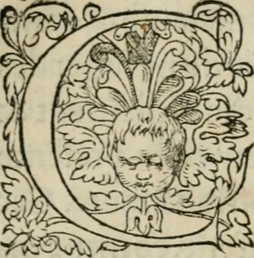 An illustration from La geomance dv Seigneur Christofe de Cattan, gentilhomme Geneuoys. Liure non moins plaisant & recreatif. Auec la roüe de Pythagoras, 1558, leaf 20