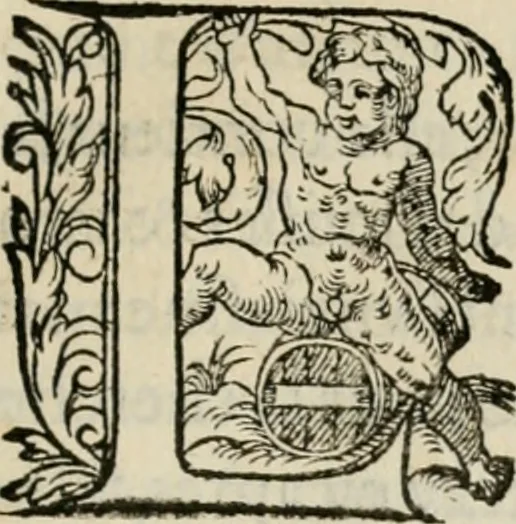 An illustration from La geomance dv Seigneur Christofe de Cattan, gentilhomme Geneuoys. Liure non moins plaisant & recreatif. Auec la roüe de Pythagoras, 1558, leaf 214