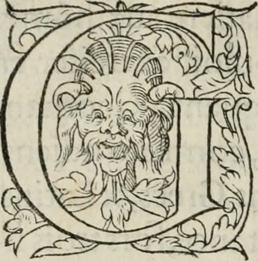 An illustration from La geomance dv Seigneur Christofe de Cattan, gentilhomme Geneuoys. Liure non moins plaisant & recreatif. Auec la roüe de Pythagoras, 1558, leaf 23