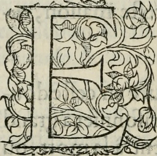 An illustration from La geomance dv Seigneur Christofe de Cattan, gentilhomme Geneuoys. Liure non moins plaisant & recreatif. Auec la roüe de Pythagoras, 1558, leaf 231