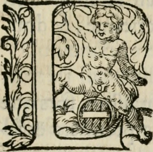 An illustration from La geomance dv Seigneur Christofe de Cattan, gentilhomme Geneuoys. Liure non moins plaisant & recreatif. Auec la roüe de Pythagoras, 1558, leaf 246