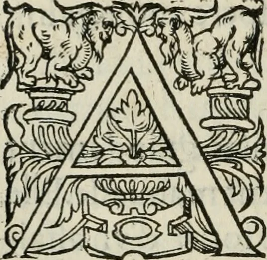 An illustration from La geomance dv Seigneur Christofe de Cattan, gentilhomme Geneuoys. Liure non moins plaisant & recreatif. Auec la roüe de Pythagoras, 1558, leaf 249