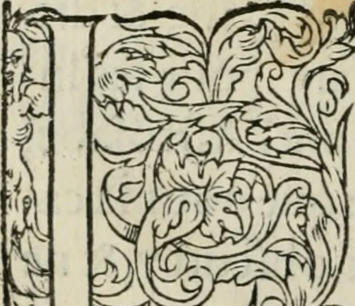 An illustration from La geomance dv Seigneur Christofe de Cattan, gentilhomme Geneuoys. Liure non moins plaisant & recreatif. Auec la roüe de Pythagoras, 1558, leaf 25