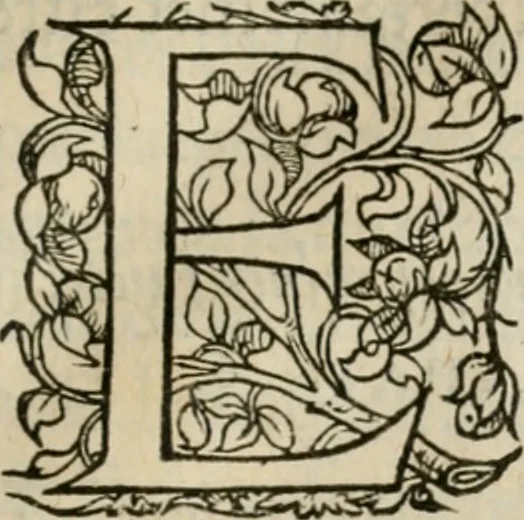 An illustration from La geomance dv Seigneur Christofe de Cattan, gentilhomme Geneuoys. Liure non moins plaisant & recreatif. Auec la roüe de Pythagoras, 1558, leaf 268