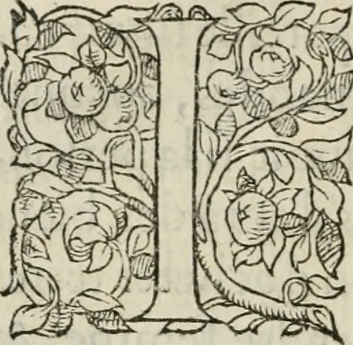 An illustration from La geomance dv Seigneur Christofe de Cattan, gentilhomme Geneuoys. Liure non moins plaisant & recreatif. Auec la roüe de Pythagoras, 1558, leaf 269