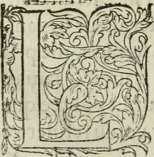An illustration from La geomance dv Seigneur Christofe de Cattan, gentilhomme Geneuoys. Liure non moins plaisant & recreatif. Auec la roüe de Pythagoras, 1558, leaf 285