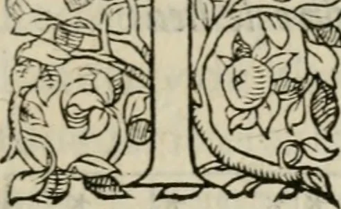 An illustration from La geomance dv Seigneur Christofe de Cattan, gentilhomme Geneuoys. Liure non moins plaisant & recreatif. Auec la roüe de Pythagoras, 1558, leaf 288