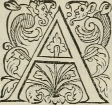 An illustration from La geomance dv Seigneur Christofe de Cattan, gentilhomme Geneuoys. Liure non moins plaisant & recreatif. Auec la roüe de Pythagoras, 1558, leaf 29
