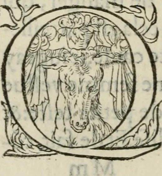 An illustration from La geomance dv Seigneur Christofe de Cattan, gentilhomme Geneuoys. Liure non moins plaisant & recreatif. Auec la roüe de Pythagoras, 1558, leaf 293