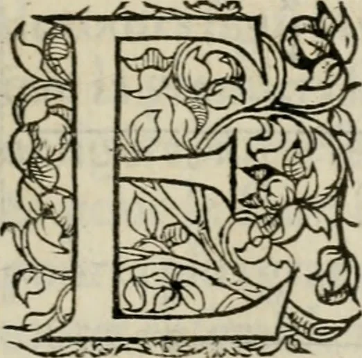 An illustration from La geomance dv Seigneur Christofe de Cattan, gentilhomme Geneuoys. Liure non moins plaisant & recreatif. Auec la roüe de Pythagoras, 1558, leaf 294