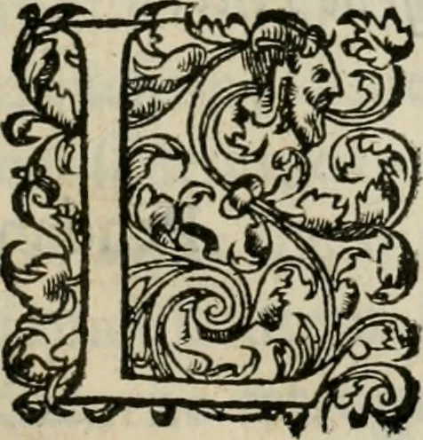An illustration from La geomance dv Seigneur Christofe de Cattan, gentilhomme Geneuoys. Liure non moins plaisant & recreatif. Auec la roüe de Pythagoras, 1558, leaf 300