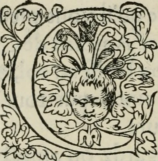 An illustration from La geomance dv Seigneur Christofe de Cattan, gentilhomme Geneuoys. Liure non moins plaisant & recreatif. Auec la roüe de Pythagoras, 1558, leaf 307