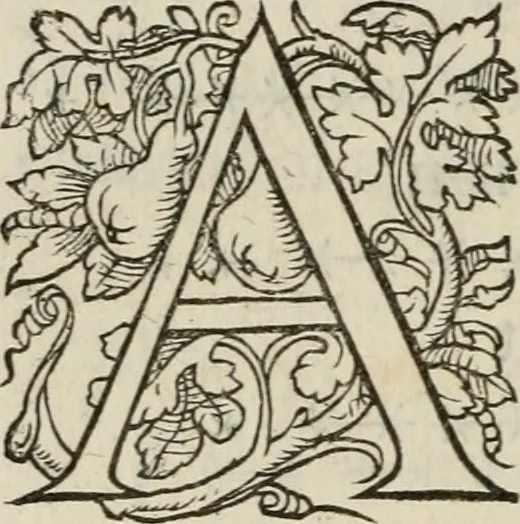 An illustration from La geomance dv Seigneur Christofe de Cattan, gentilhomme Geneuoys. Liure non moins plaisant & recreatif. Auec la roüe de Pythagoras, 1558, leaf 31