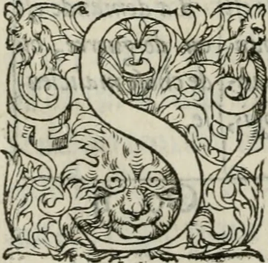 An illustration from La geomance dv Seigneur Christofe de Cattan, gentilhomme Geneuoys. Liure non moins plaisant & recreatif. Auec la roüe de Pythagoras, 1558, leaf 311