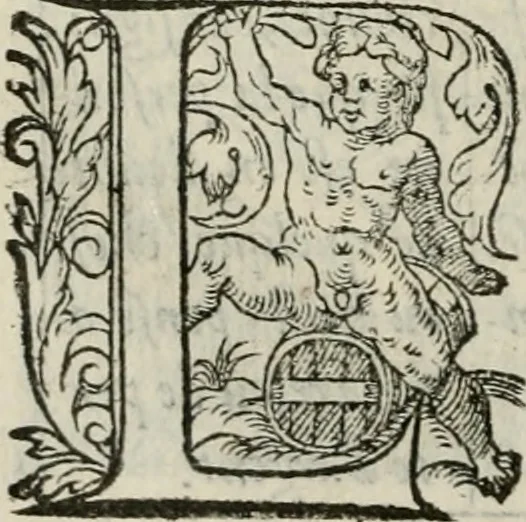 An illustration from La geomance dv Seigneur Christofe de Cattan, gentilhomme Geneuoys. Liure non moins plaisant & recreatif. Auec la roüe de Pythagoras, 1558, leaf 313