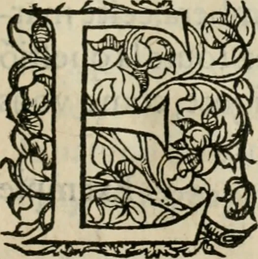 An illustration from La geomance dv Seigneur Christofe de Cattan, gentilhomme Geneuoys. Liure non moins plaisant & recreatif. Auec la roüe de Pythagoras, 1558, leaf 316