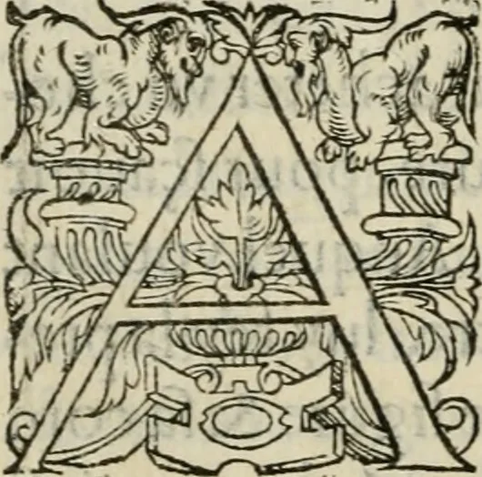 An illustration from La geomance dv Seigneur Christofe de Cattan, gentilhomme Geneuoys. Liure non moins plaisant & recreatif. Auec la roüe de Pythagoras, 1558, leaf 319