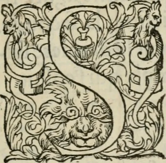 An illustration from La geomance dv Seigneur Christofe de Cattan, gentilhomme Geneuoys. Liure non moins plaisant & recreatif. Auec la roüe de Pythagoras, 1558, leaf 324