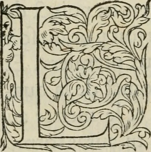 An illustration from La geomance dv Seigneur Christofe de Cattan, gentilhomme Geneuoys. Liure non moins plaisant & recreatif. Auec la roüe de Pythagoras, 1558, leaf 33