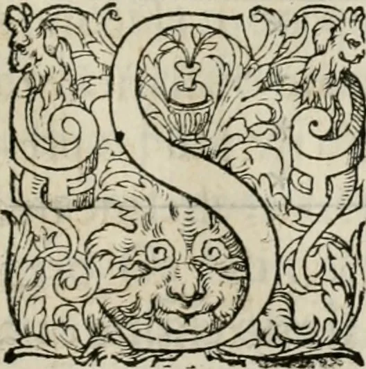 An illustration from La geomance dv Seigneur Christofe de Cattan, gentilhomme Geneuoys. Liure non moins plaisant & recreatif. Auec la roüe de Pythagoras, 1558, leaf 336