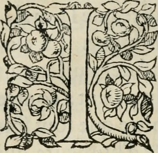 An illustration from La geomance dv Seigneur Christofe de Cattan, gentilhomme Geneuoys. Liure non moins plaisant & recreatif. Auec la roüe de Pythagoras, 1558, leaf 339