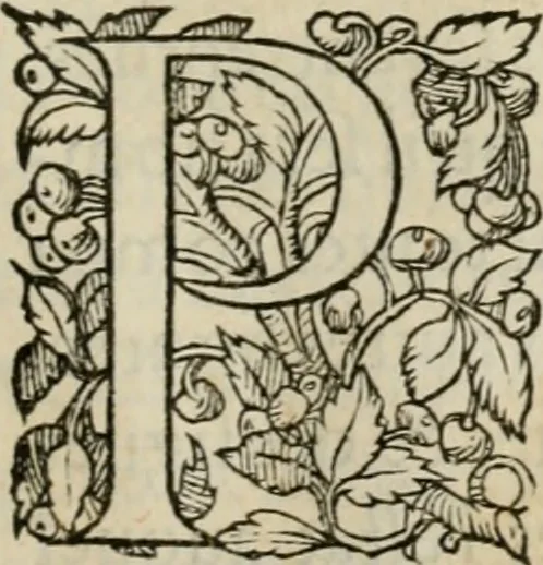 An illustration from La geomance dv Seigneur Christofe de Cattan, gentilhomme Geneuoys. Liure non moins plaisant & recreatif. Auec la roüe de Pythagoras, 1558, leaf 348