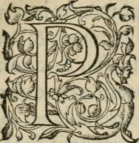 An illustration from La geomance dv Seigneur Christofe de Cattan, gentilhomme Geneuoys. Liure non moins plaisant & recreatif. Auec la roüe de Pythagoras, 1558, leaf 38