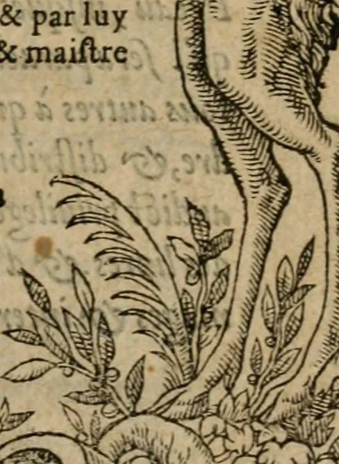 An illustration from La geomance dv Seigneur Christofe de Cattan, gentilhomme Geneuoys. Liure non moins plaisant & recreatif. Auec la roüe de Pythagoras, 1558, leaf 4