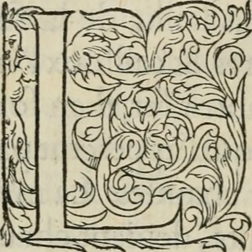 An illustration from La geomance dv Seigneur Christofe de Cattan, gentilhomme Geneuoys. Liure non moins plaisant & recreatif. Auec la roüe de Pythagoras, 1558, leaf 41