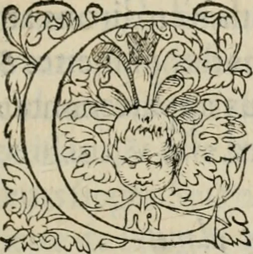 An illustration from La geomance dv Seigneur Christofe de Cattan, gentilhomme Geneuoys. Liure non moins plaisant & recreatif. Auec la roüe de Pythagoras, 1558, leaf 52
