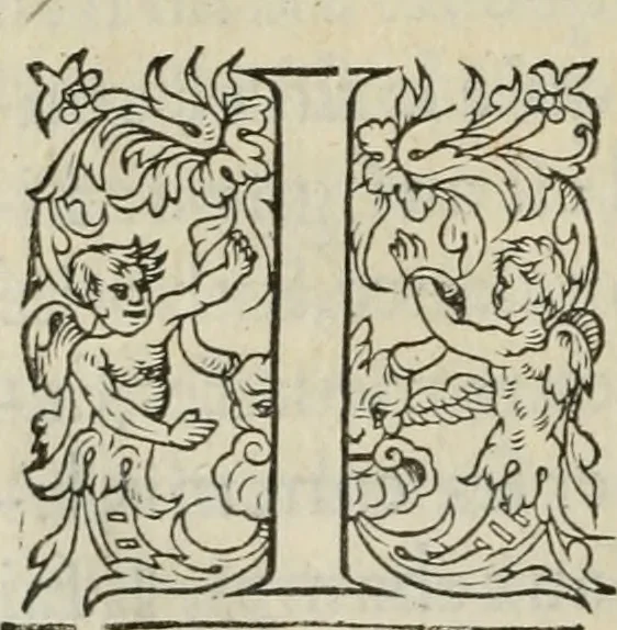 An illustration from La geomance dv Seigneur Christofe de Cattan, gentilhomme Geneuoys. Liure non moins plaisant & recreatif. Auec la roüe de Pythagoras, 1558, leaf 65