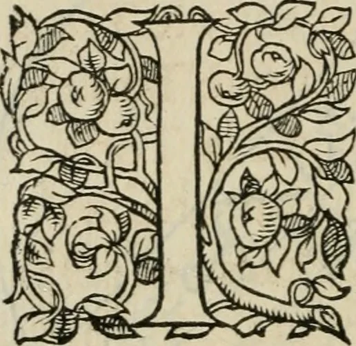 An illustration from La geomance dv Seigneur Christofe de Cattan, gentilhomme Geneuoys. Liure non moins plaisant & recreatif. Auec la roüe de Pythagoras, 1558, leaf 89