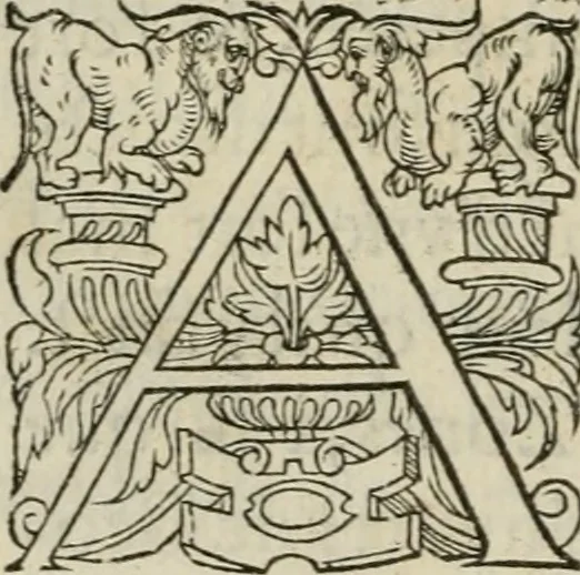An illustration from La geomance dv Seigneur Christofe de Cattan, gentilhomme Geneuoys. Liure non moins plaisant & recreatif. Auec la roüe de Pythagoras, 1558, leaf 91