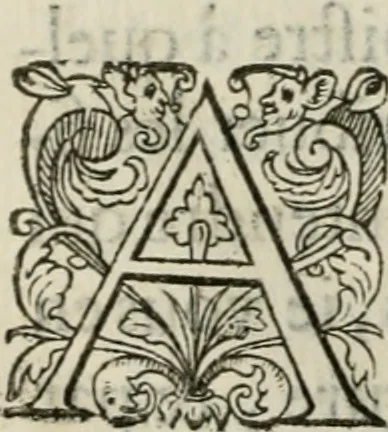An illustration from La geomance dv Seigneur Christofe de Cattan, gentilhomme Geneuoys. Liure non moins plaisant & recreatif. Auec la roüe de Pythagoras, 1558, leaf 93