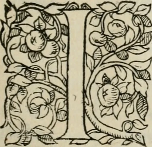An illustration from La geomance dv Seigneur Christofe de Cattan, gentilhomme Geneuoys. Liure non moins plaisant & recreatif. Auec la roüe de Pythagoras, 1558, leaf 94