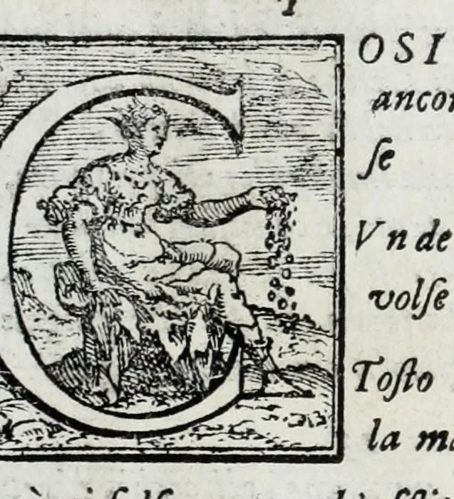 An illustration from La Gerusalemme di Torquato Tasso, 1617, leaf 135