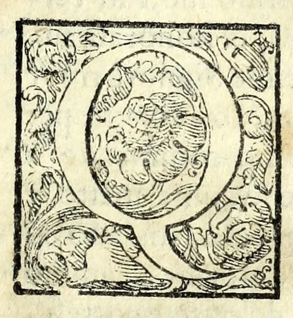 An illustration from La gioia : comedia molto dilettevole, & ingegnosa, 1586, leaf 15