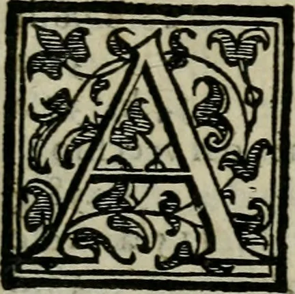 An illustration from La gloria del cavallo. Opera dell' illvst. sig. Pasqual Caracciolo...Di nuouo ricorretta, e ristampata: & in quest' vltima edittione aggiunteui le postille .., 1608, leaf 1048