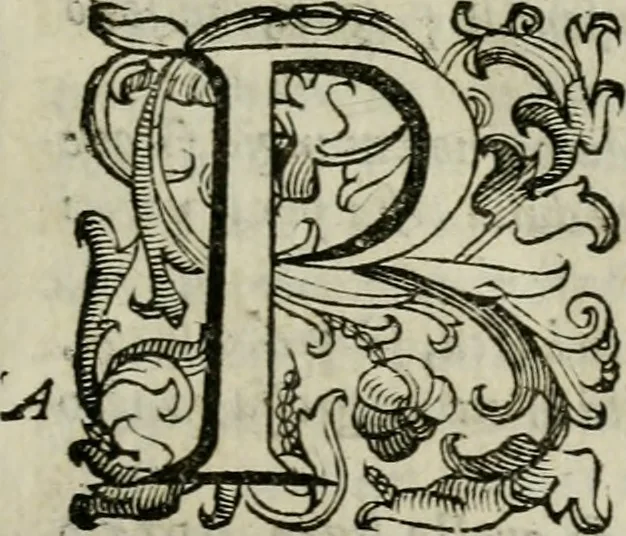 An illustration from La gloria del cavallo. Opera dell' illvst. sig. Pasqual Caracciolo...Di nuouo ricorretta, e ristampata: & in quest' vltima edittione aggiunteui le postille .., 1608, leaf 1054