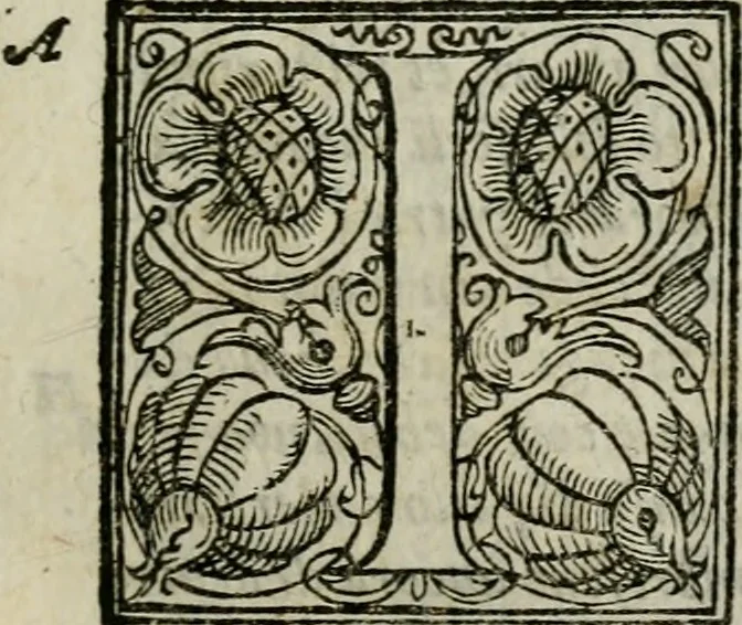 An illustration from La gloria del cavallo. Opera dell' illvst. sig. Pasqual Caracciolo...Di nuouo ricorretta, e ristampata: & in quest' vltima edittione aggiunteui le postille .., 1608, leaf 1102