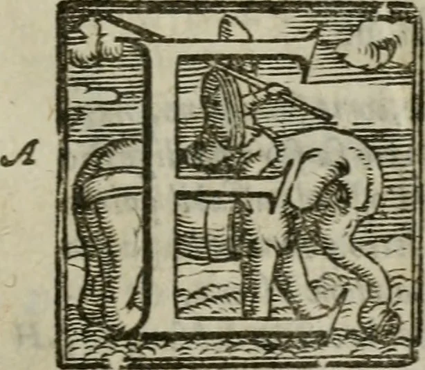 An illustration from La gloria del cavallo. Opera dell' illvst. sig. Pasqual Caracciolo...Di nuouo ricorretta, e ristampata: & in quest' vltima edittione aggiunteui le postille .., 1608, leaf 1150