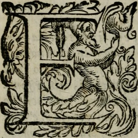 An illustration from La gloria del cavallo. Opera dell' illvst. sig. Pasqual Caracciolo...Di nuouo ricorretta, e ristampata: & in quest' vltima edittione aggiunteui le postille .., 1608, leaf 141