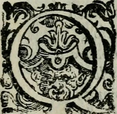 An illustration from La gloria del cavallo. Opera dell' illvst. sig. Pasqual Caracciolo...Di nuouo ricorretta, e ristampata: & in quest' vltima edittione aggiunteui le postille .., 1608, leaf 18